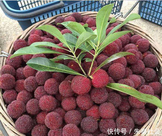 一“奇特”水果,果肉肥厚却没有皮,最高180元一斤,如今10元3斤