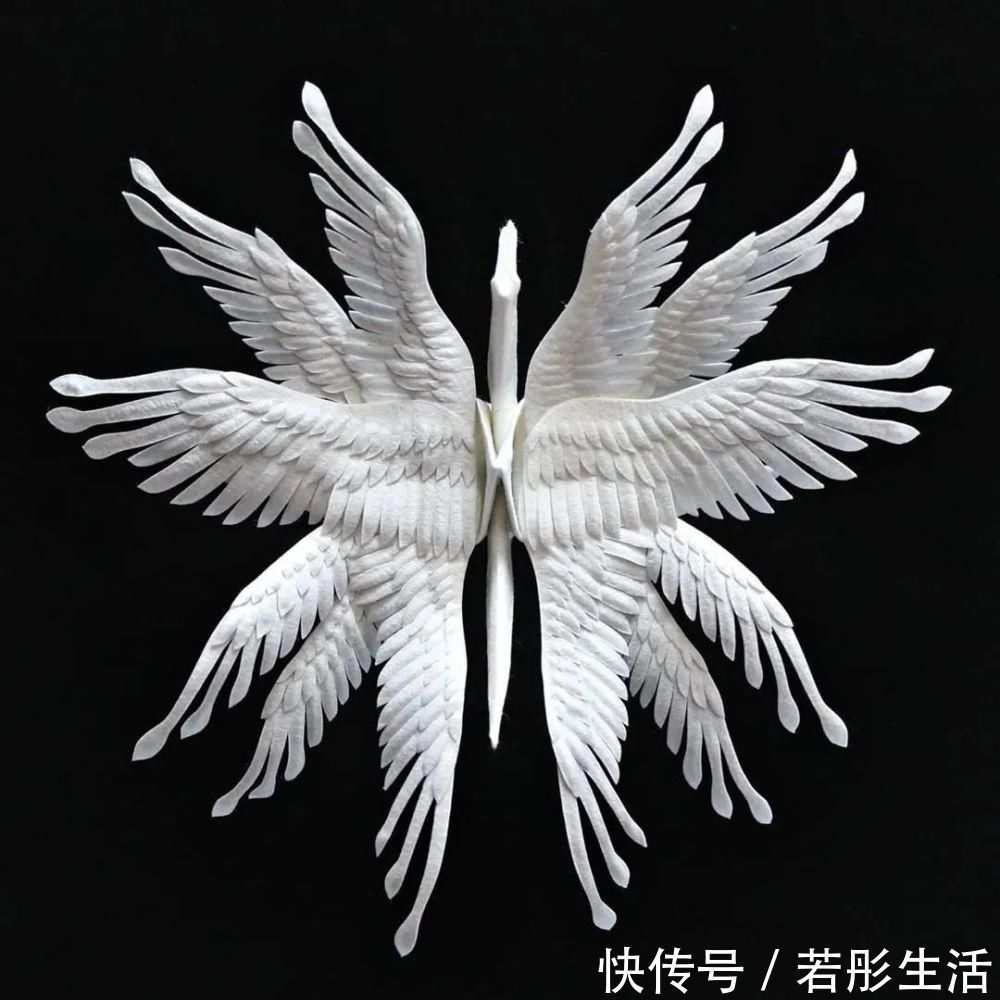 翅膀$抑郁小哥把一只2毛钱的千纸鹤折成了我买不起的样子,不但病好了还年入百万