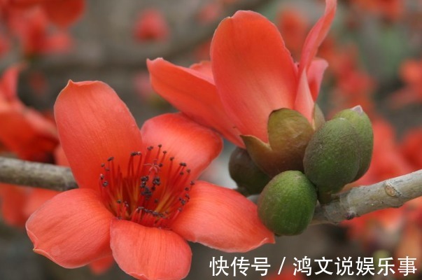 礼貌|人最大的教养,不是表面上的礼貌,而是4个“仁者无敌”的方式