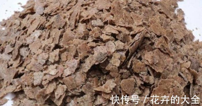 花肥|用这3种肥料养花,植株开花更多、花色更艳,省钱又实用