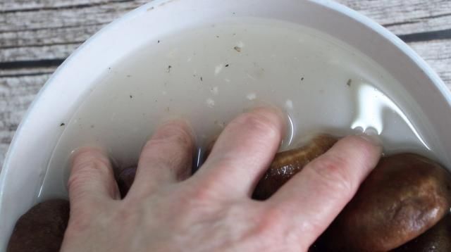 清水洗香菇,和没洗一样,教您一招,脏东西和小虫子自动溜走