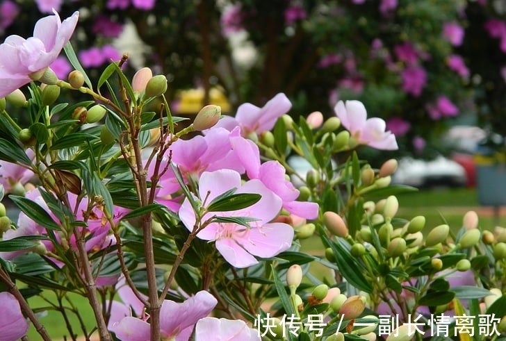 事业|2月福禄强大,事业会攀上新阶梯,财富收获显著的生肖