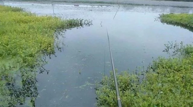 钓鱼的“7大忌”，你晓得吗？都是影响渔获的重要因素，莫忽视