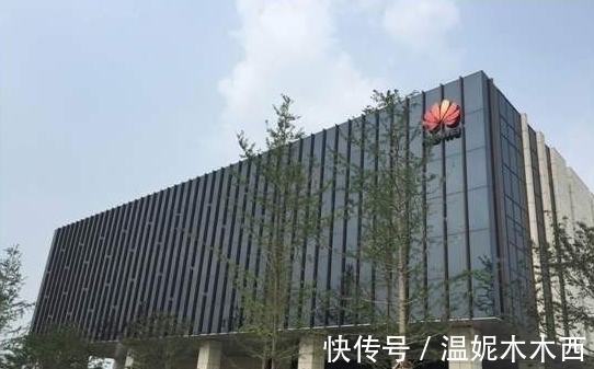 技术|拿200万年薪不干事,被华为当“骗子”,任正非却信任他