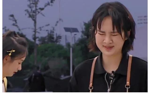 悄无声息的第五季中餐厅,黄晓明和宁静吵翻天,也无法拯救的收视率