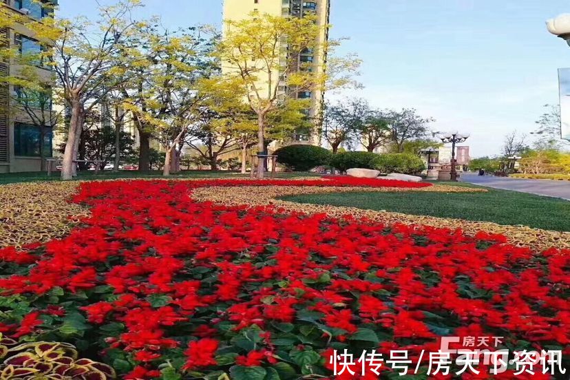 精装|新鲜出炉!帮你搜集天津武清楼盘现场的最新美图