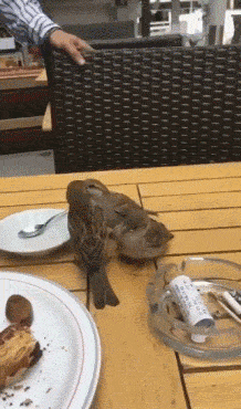 |搞笑GIF:撩妹有风险 搭讪需谨慎