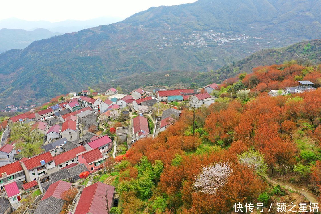 高山村落，樱花盛开，天空之境，天上人间