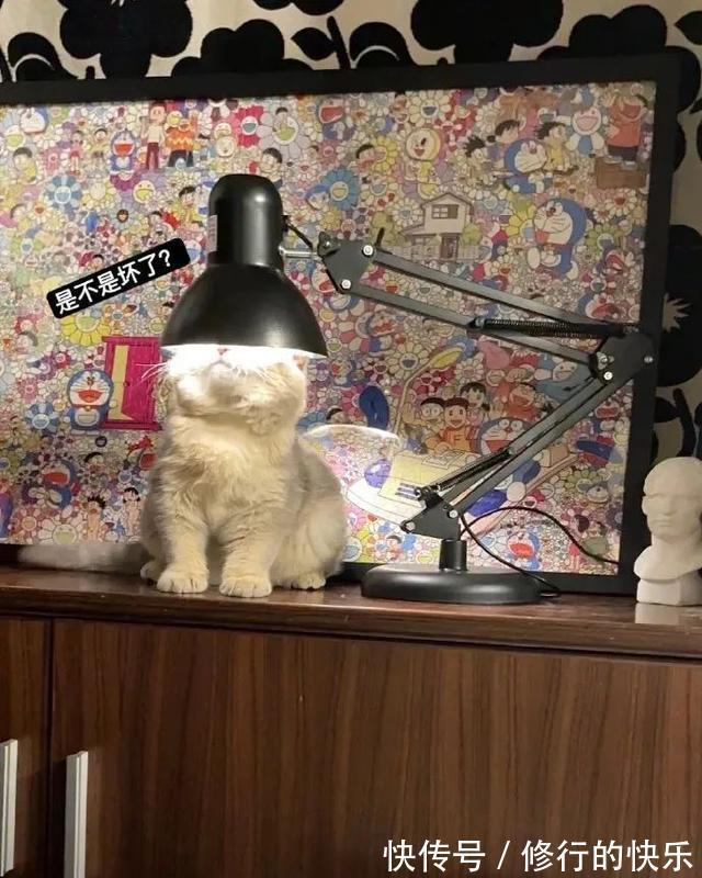 |冬至到底吃什么的终极答案 冷段子2018