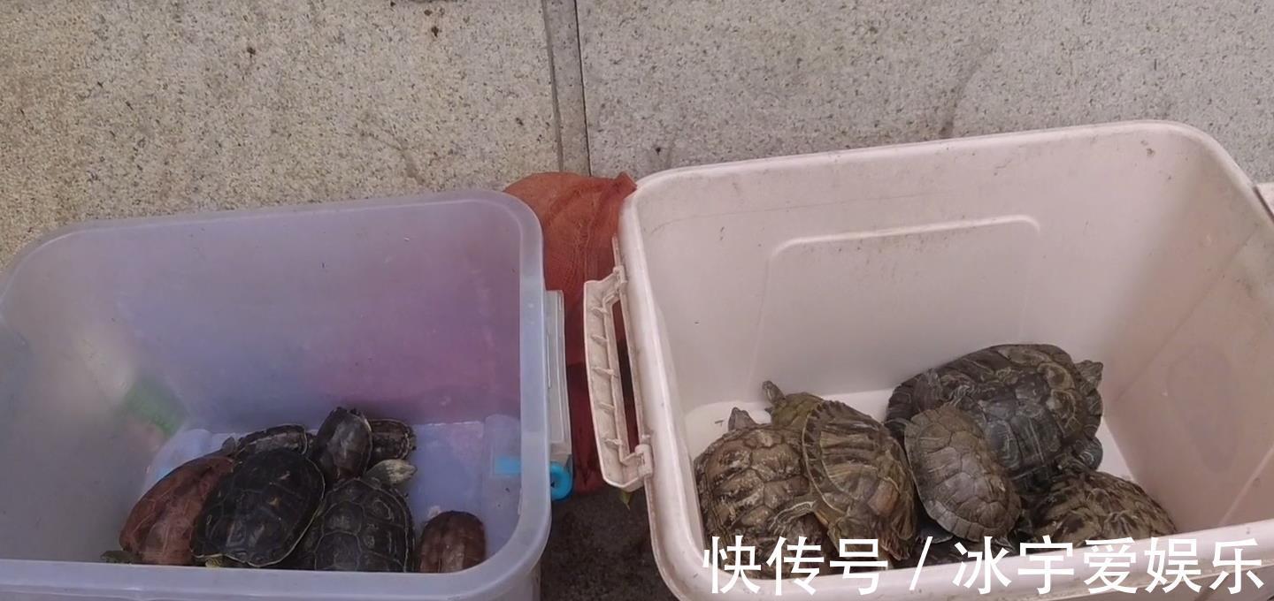 职业|珠江边的职业钓鱼人,一天可赚六百,其他钓鱼人这样钓鱼不纯粹
