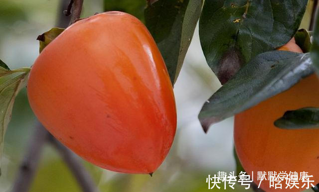 gt|入冬后3种食物要多吃!应季而食,提高免疫力!