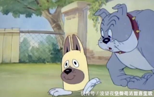 ev小长假不看点沙雕图怎么过!这世上竟有如此沙雕的手办!