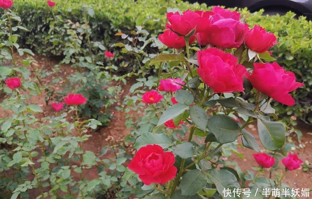 人大|曾国藩:勤俭培养廉洁风骨,正直使人大度,俭朴为立家之本