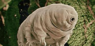 五亿年前恐龙没出现,地球是什么模样科学家宛如“天堂”