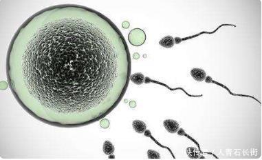 精子|夫妻适当进行同房,或许会给男人带来这些好处