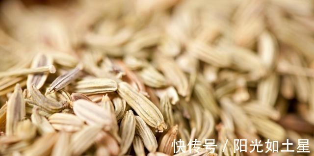 桂皮|羊肉汤必放的4种香料,有了它们,羊肉不膻汤更浓白越喝越想喝!