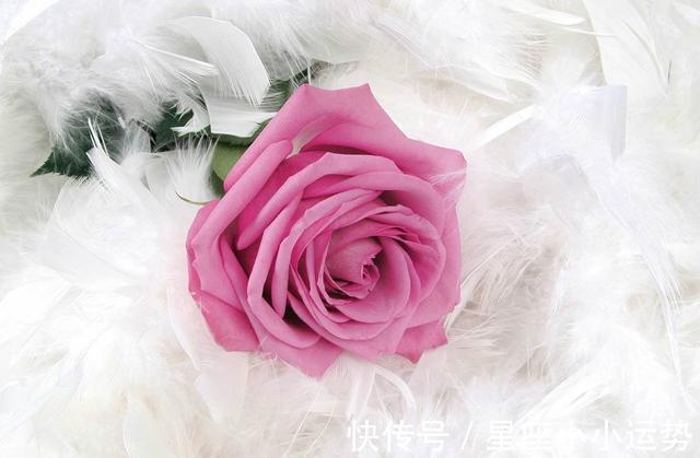 甜蜜蜜|未来2个月,缘分桃花开始绽放璀璨,完美爱情的3大生肖