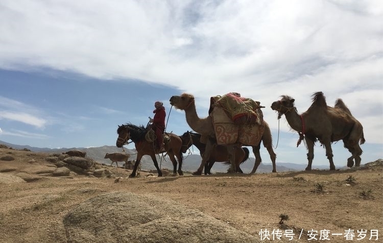 哈萨克|草原上的生命大迁徙哈萨克转场