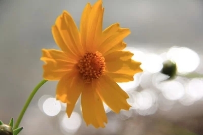 晴风|人到中年,最好的养生是善忘