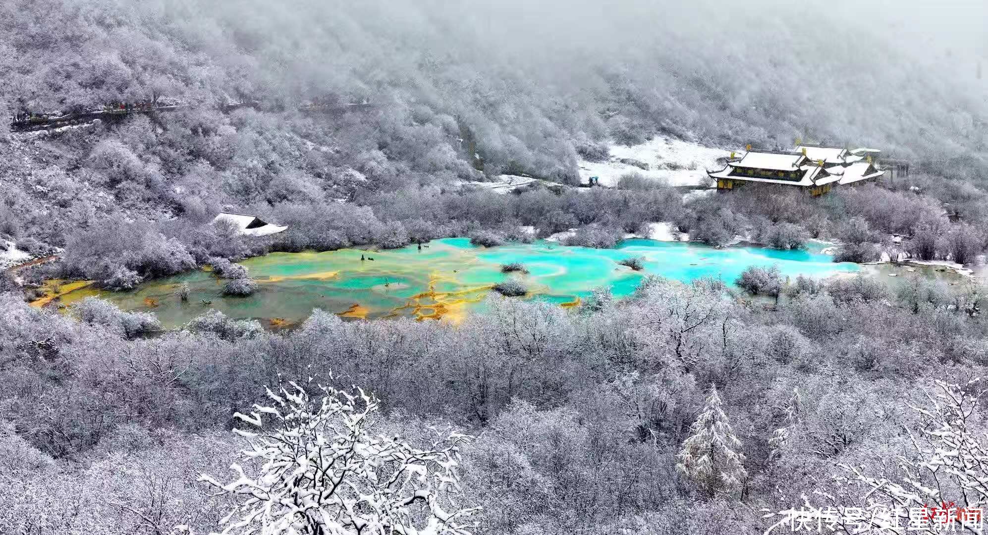 景区|游客踩踏黄龙景区钙化滩流 景区通报：巡护人员现场已制止并劝导其离开