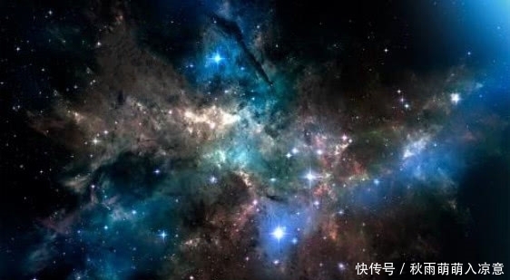 人类 将树叶放大一亿倍会看到什么?科学家:从未见过的“第二宇宙”