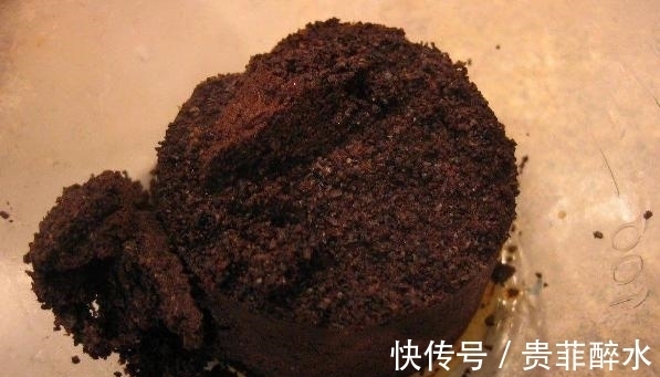 买肥料不如自制,牢记这几招,养花才不会再出问题