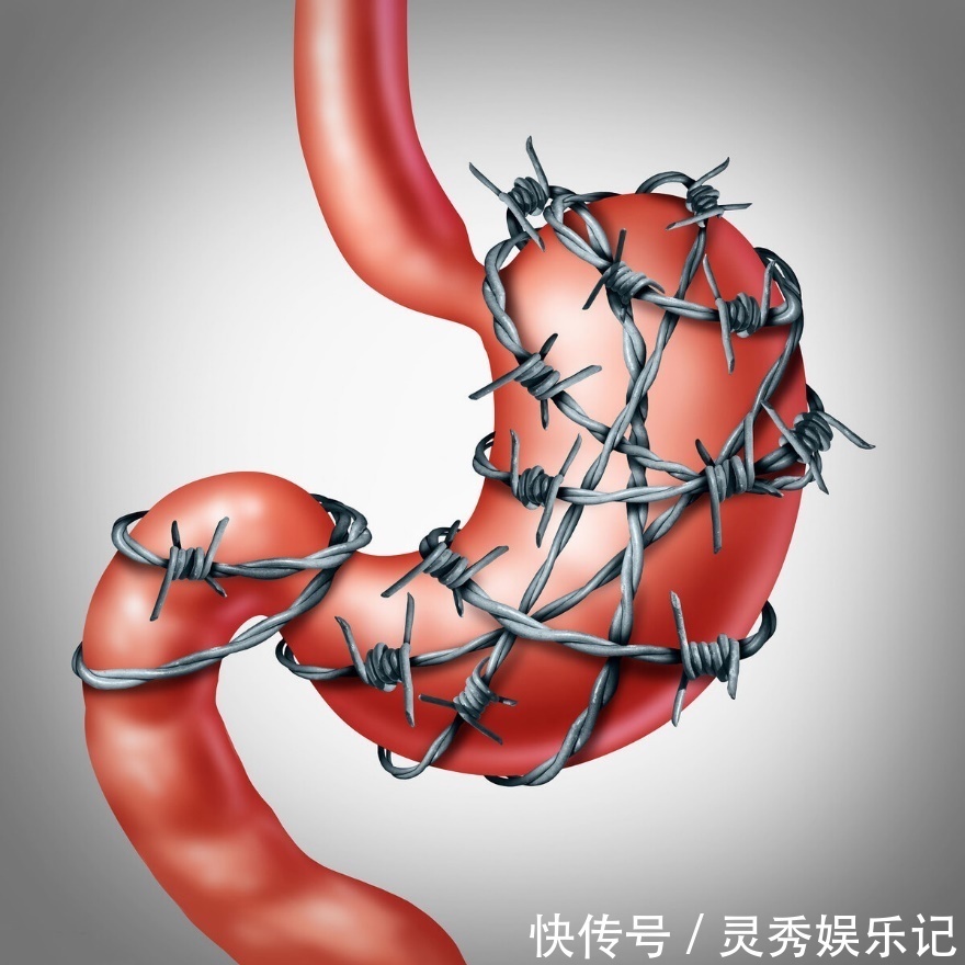 幽门螺杆菌|肠胃“修复器”找到了,不是牛奶,若你爱喝,胃一天要比一天舒服