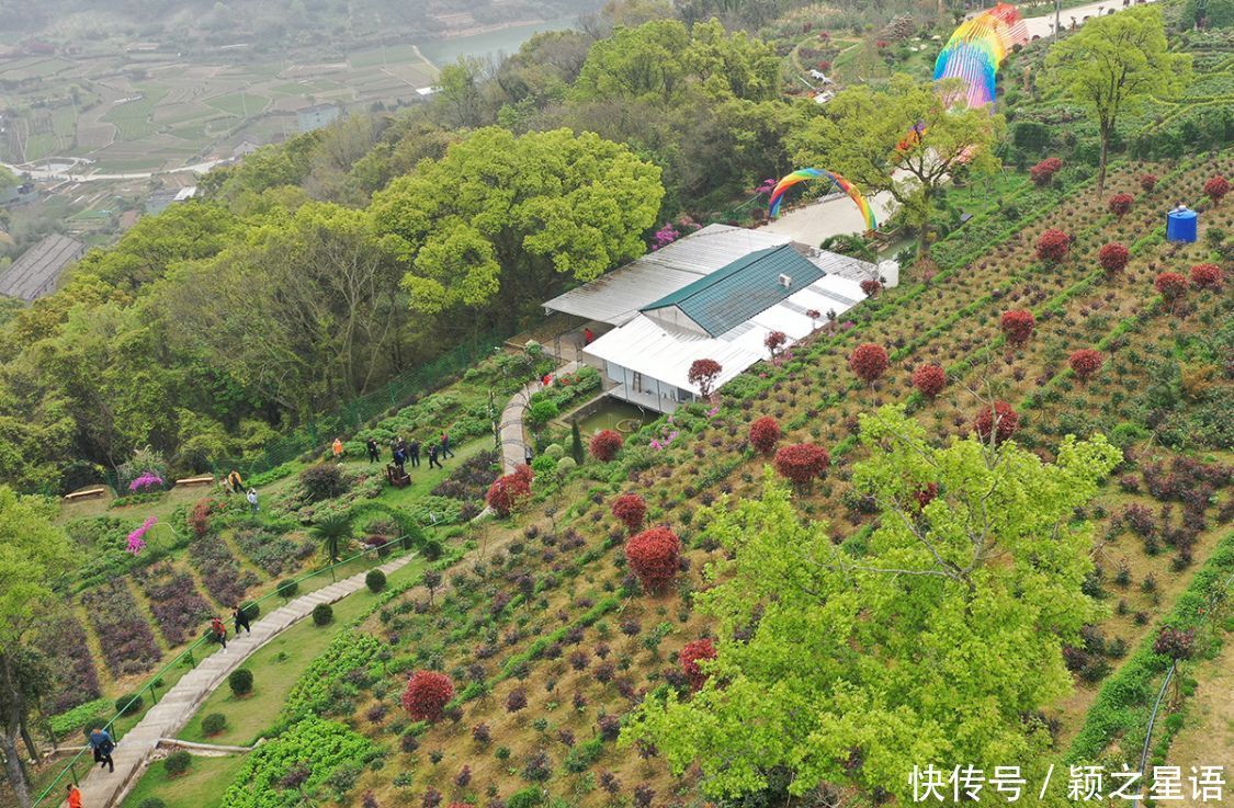 牡丹花、风车公路、烽火台、海港，美丽的风景线