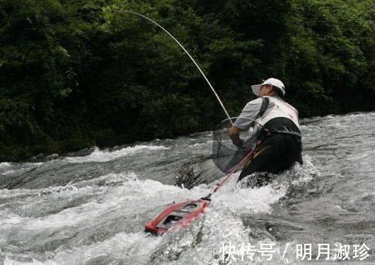 香鱼|很多钓友不认识此鱼,能散发特殊香味,被市场誉为“淡水鱼之王”