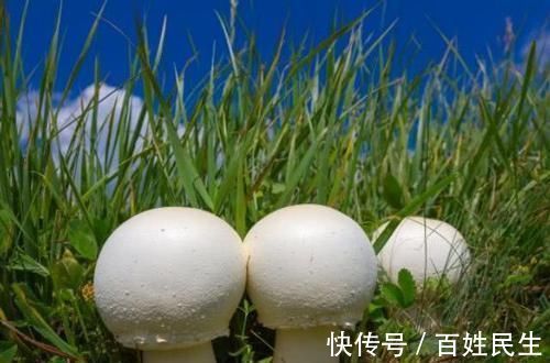 血管|天然的“清道夫”找到了，每天多吃点，血管通畅，血栓一去无踪