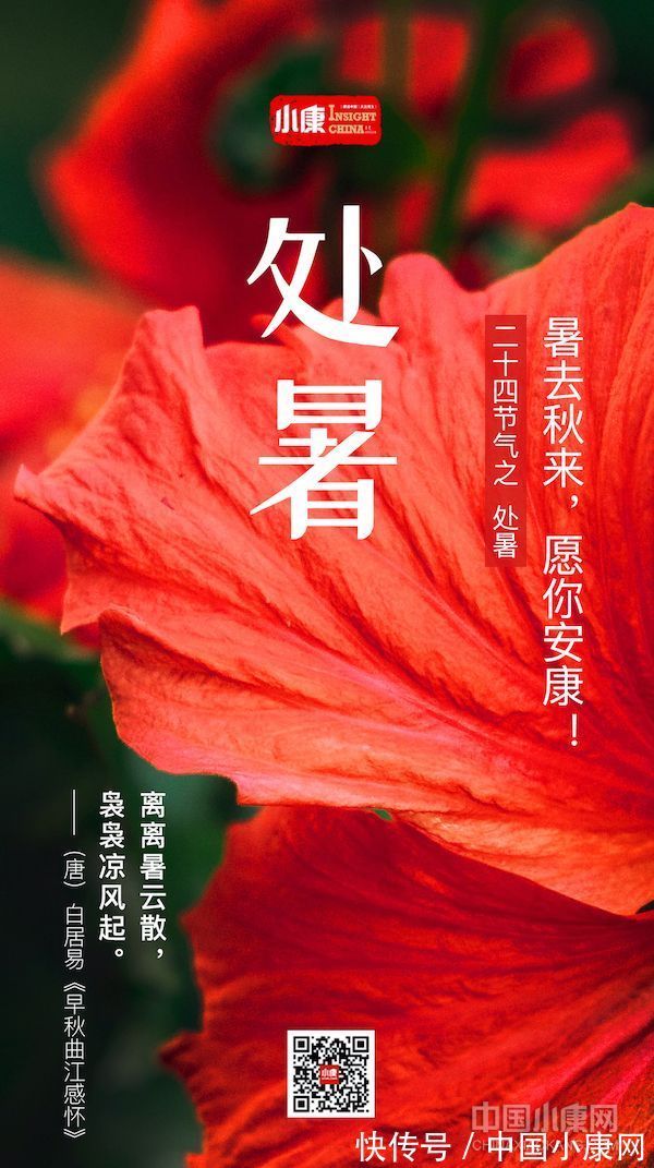 翠竹亭亭!万物有时 岁月成诗:打开二十四节气的另一种方式