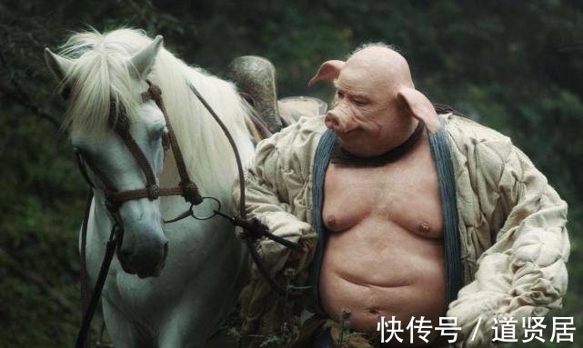 猪八戒$西游记有4人曾大闹天宫,孙悟空是最差的一个?青狮精:别逗了