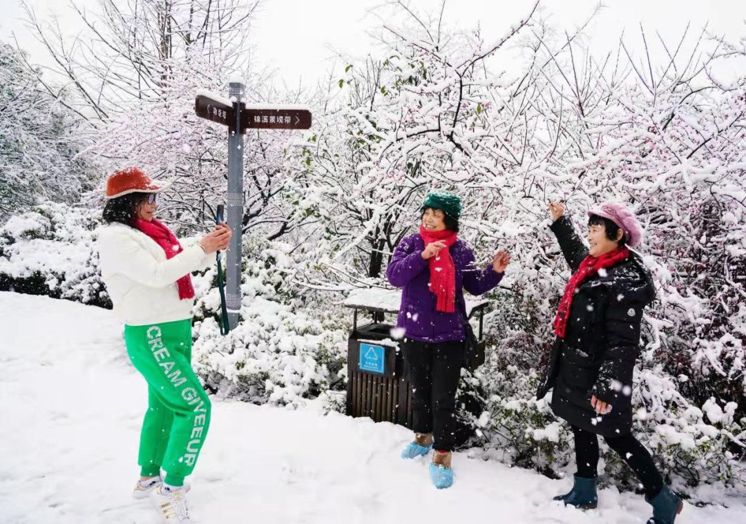 费玉清|踏雪寻梅暗香来，临安赏梅正当时~