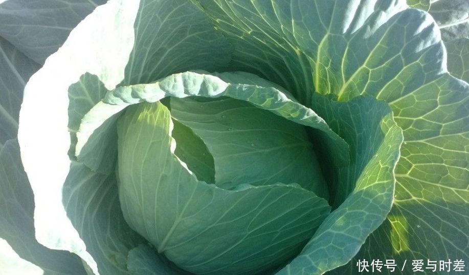 糖尿病患者饮食原则,完成“控糖大业”须知一二