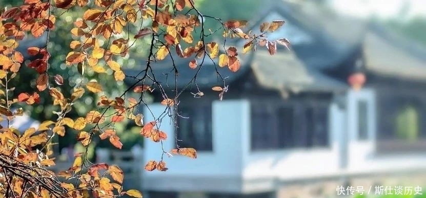 道德经|老子:成功和失败,只是差了一个“它”