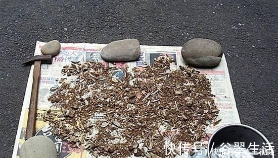 叶片|厨房3种垃圾，是难得的氮磷钾肥，养花浇一点，叶片油亮花不断！