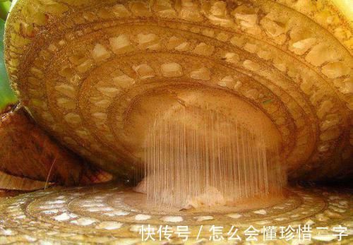 21个鲜为人知的冷知识可能让你重新认识这个世界