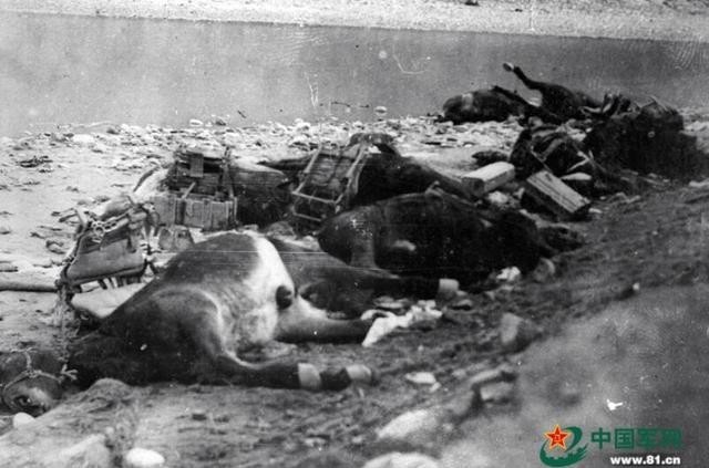 敌后战场|关于抗日战争,有哪些误导人的问题?结合战史资料进行解答