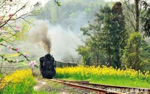 淋一场烟雨，遇一场花事，9个三月花海刷屏的地方