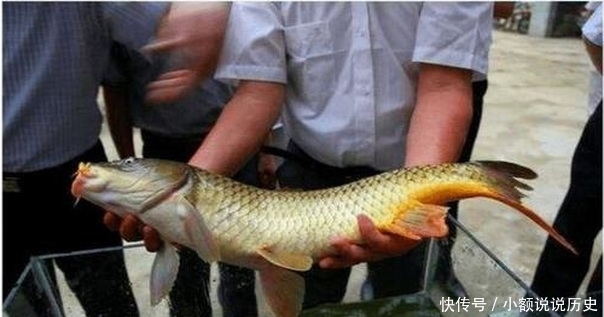 小药|钓友们一定要小心渔具带来的伤害，可能是致命的伤害