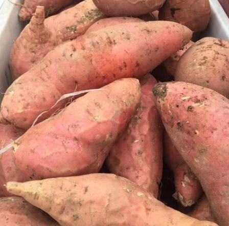 买红薯，只看粗细就错了，牢记4个小妙招，红薯香甜软糯，实用！