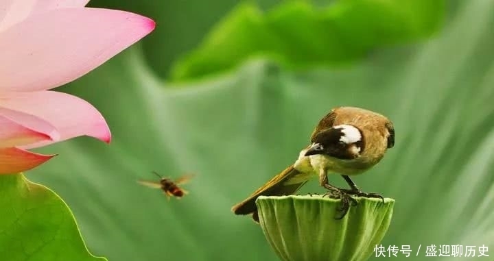 王阳明|王阳明的十句处世真言,学会一个,就能成就辉煌的人生