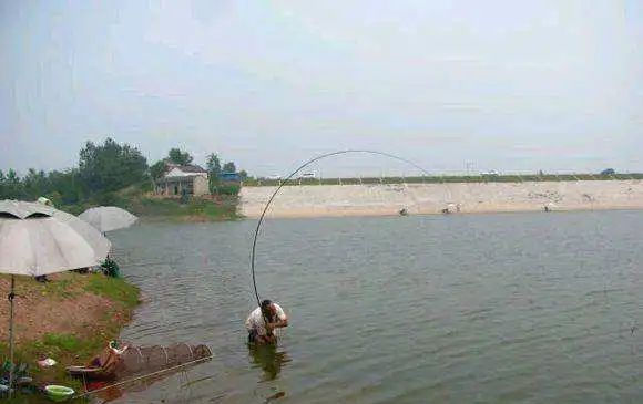 垂钓|到了三伏天,我就只在这3个钓点下竿,气温再高也能接连上鱼