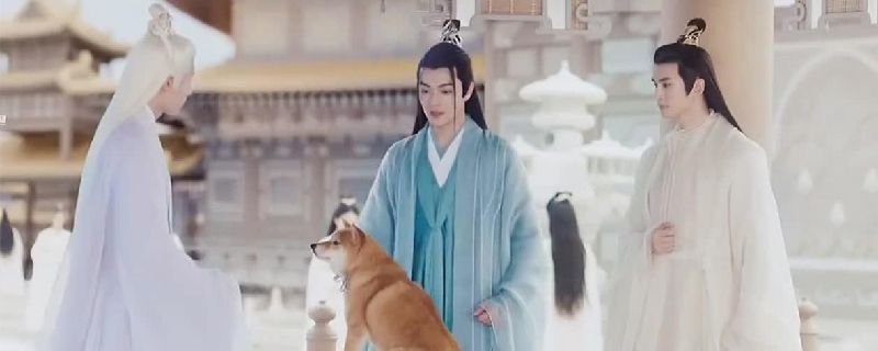 毒性|千古玦尘弑神花助上古练成混沌之力了吗