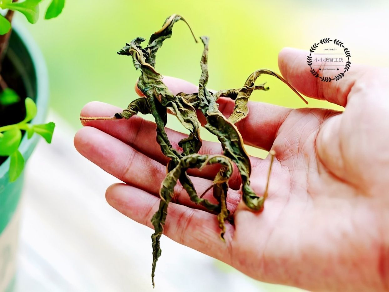 芝麻|这菜,很多人只吃果实,其实叶子才是宝贝,如今有钱也难买到