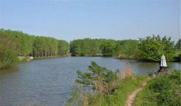 野河钓鱼,找鱼窝的常用方法,找拐弯找水草,不过这种地形才最佳