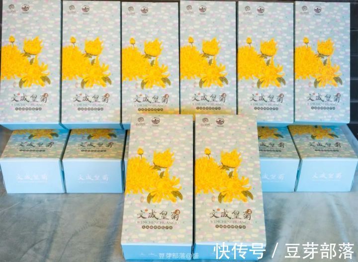 打卡文成荷花节、太公祭，遇见向往的文成！|文成乐 不思“暑” | 文成