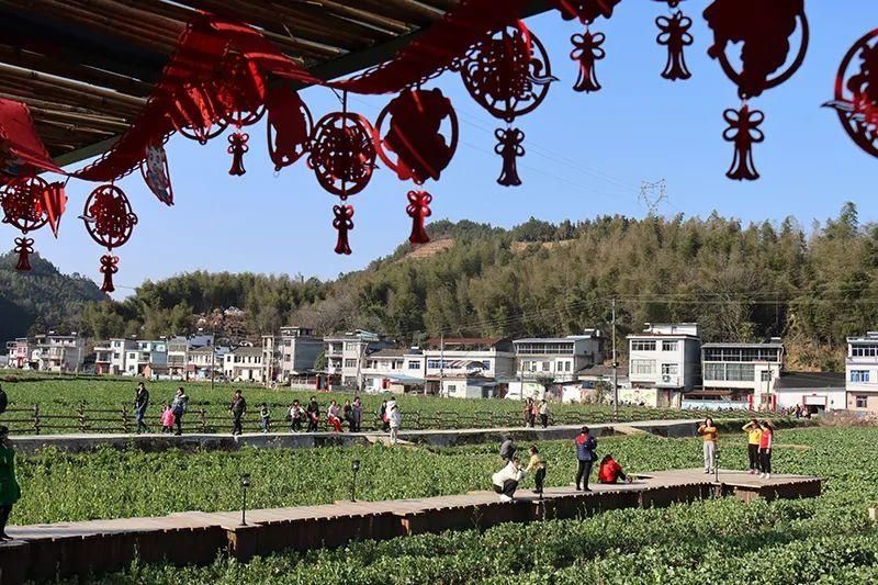 瑶草bar！带你打卡屯溪区乡村旅游“网红点”！