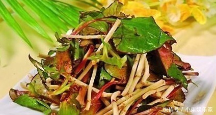 蒲公英|养肝就是养命,3种野菜女人可常吃,肝脏干净了,更显年轻!