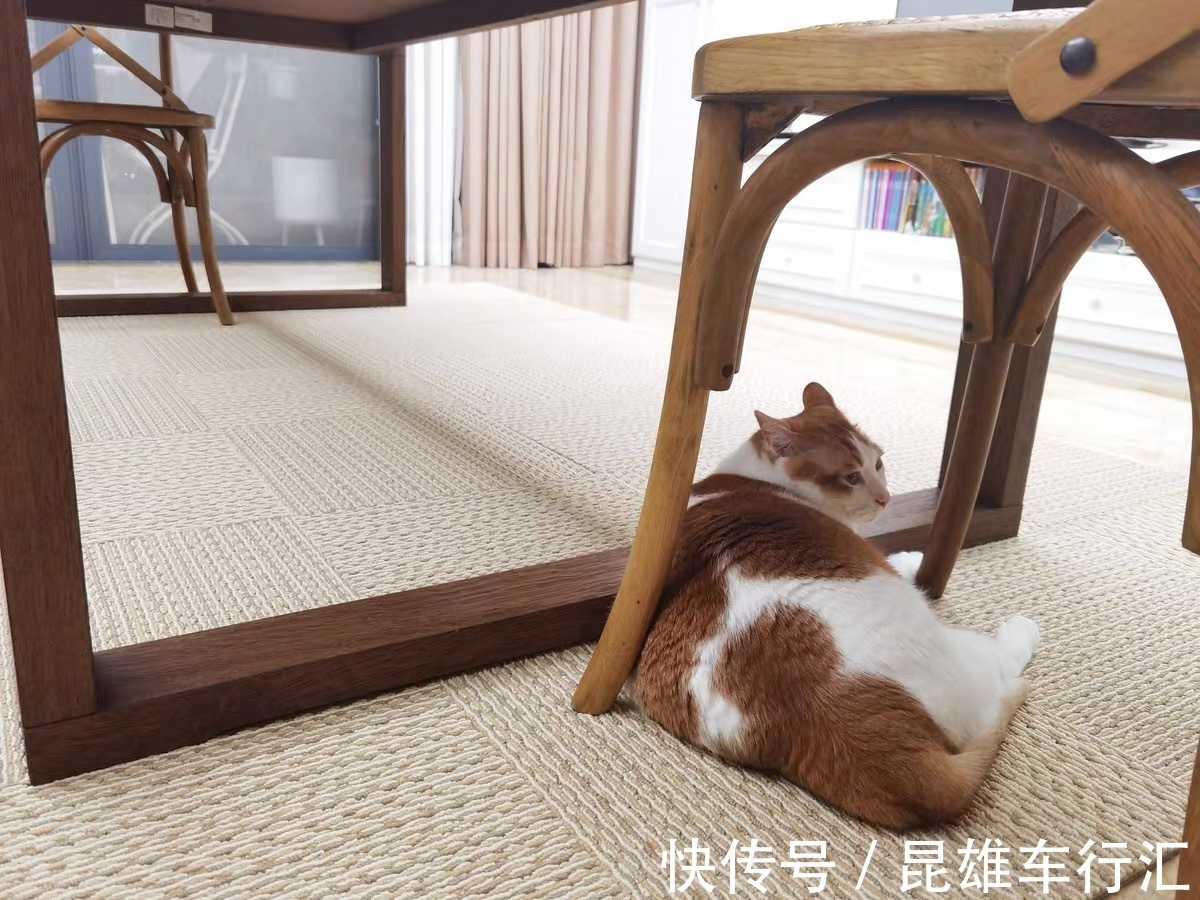 收纳|10个一直舍不得换的家居小件,换了之后觉得超值,方便又干净!